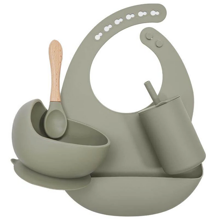 Baby Silicone Feeding Set