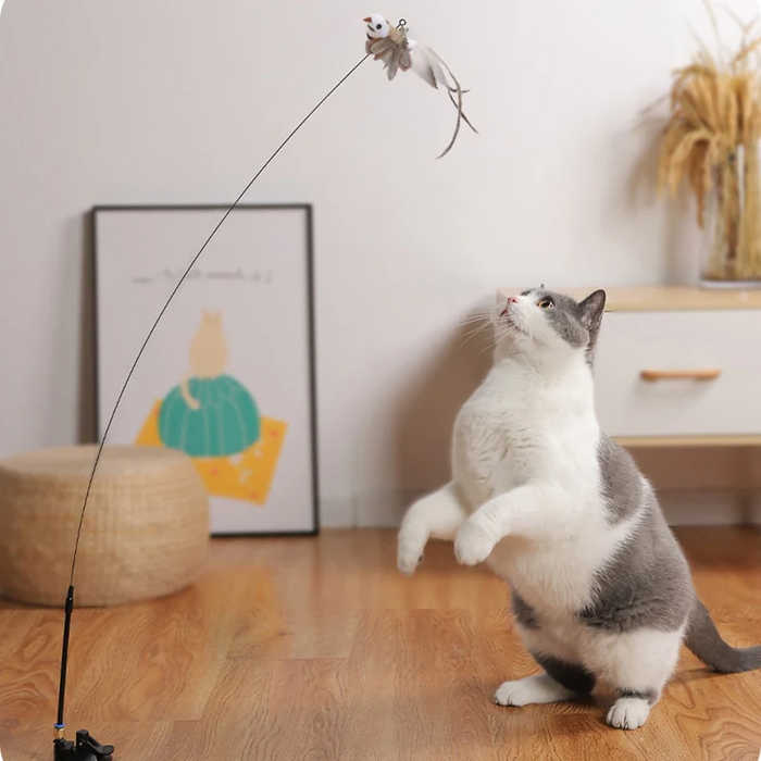 Simulation Bird interactive Cat Toy Funny Feather Bird