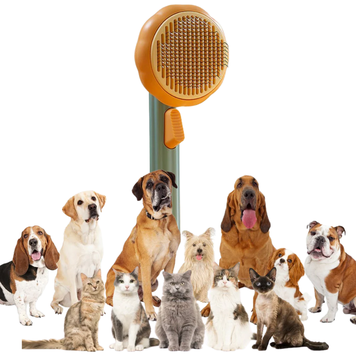 Self-Cleaning Pumpkin Pet Brush