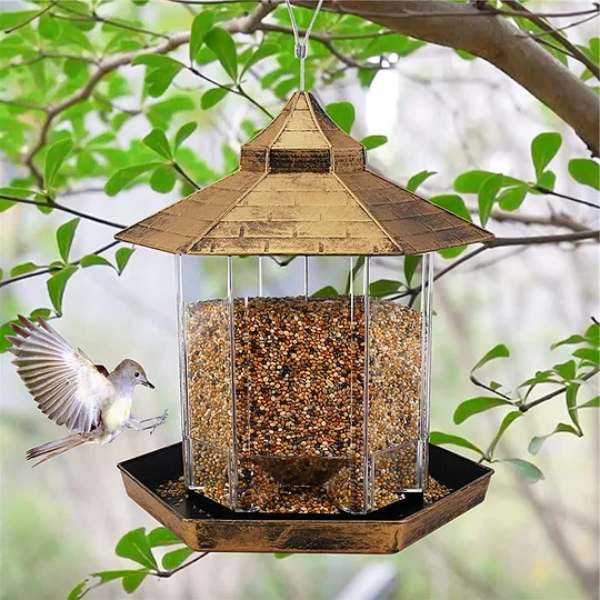 Sparrow Feeder