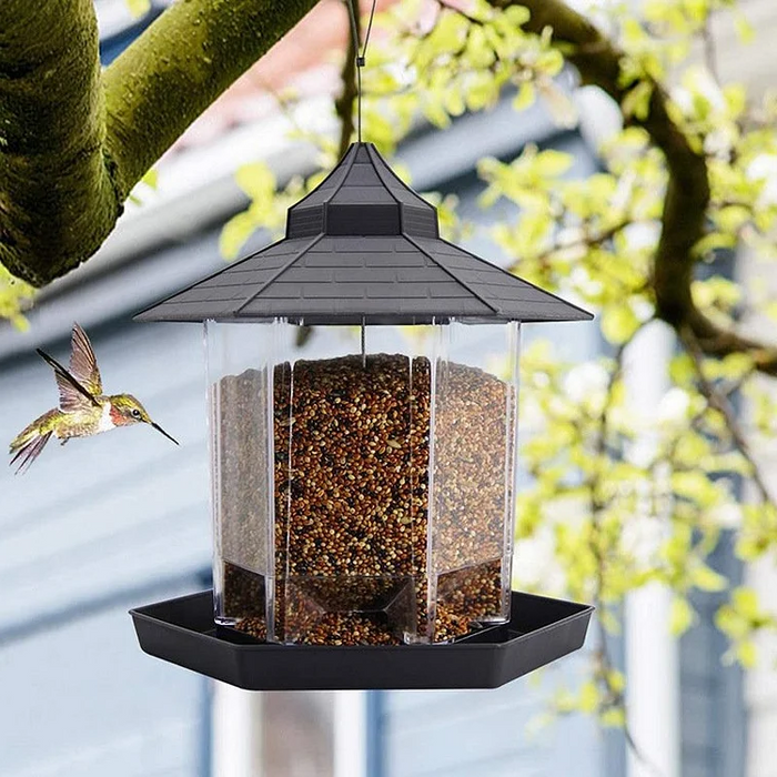 Sparrow Feeder